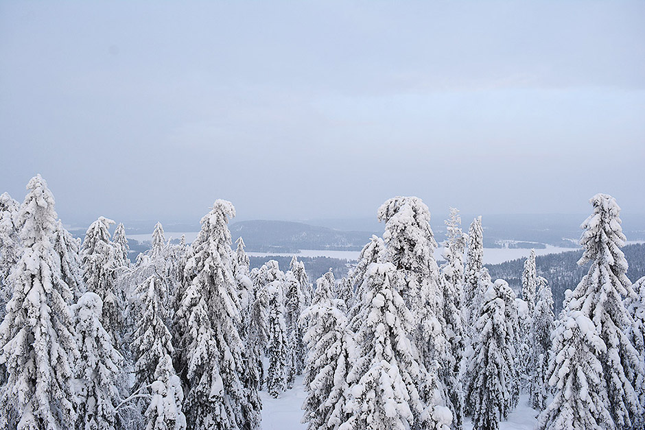 Mille näyttää maisema Pisan luonnonsuojelualueen näköalatornista talvella? Huuruiselta ja siniseltä.