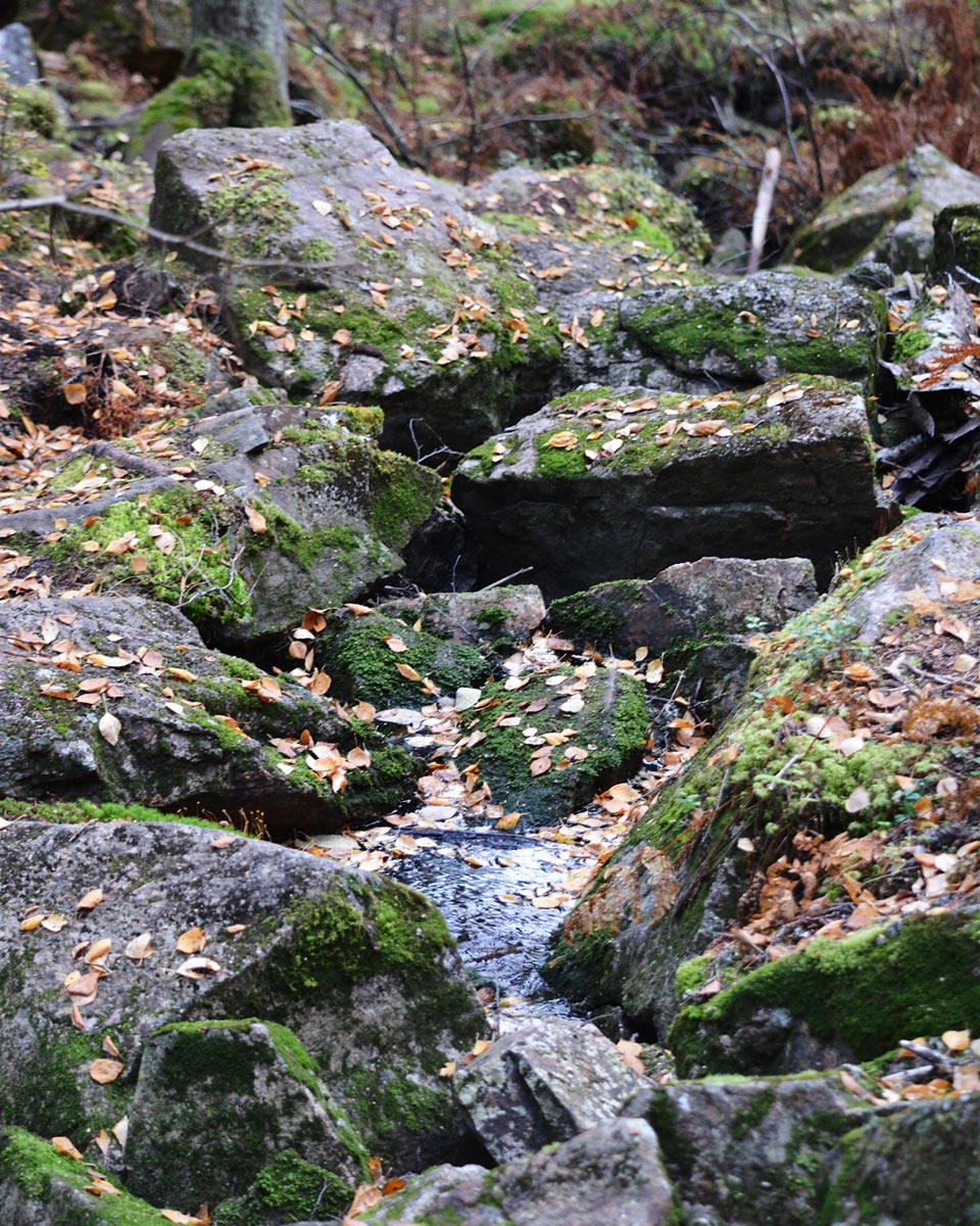 Pieni puro virtaa Tuusniemen rotkolaakson pohjalla.